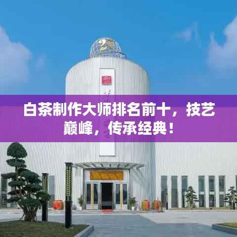 白茶制作大师排名前十,技艺巅峰,传承经典!