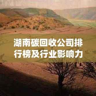 湖南碳回收公司排行榜及行业影响力解析