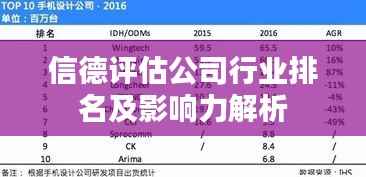 信德评估公司行业排名及影响力解析