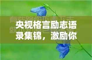 央视格言励志语录集锦,激励你前行的力量