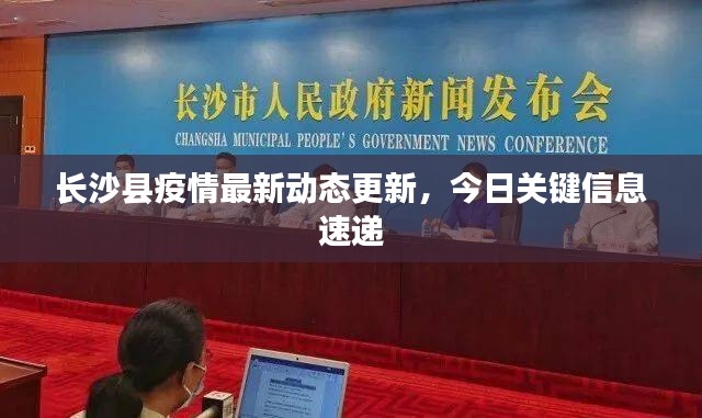 长沙县疫情最新动态更新,今日关键信息速递