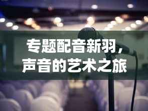 专题配音新羽,声音的艺术之旅与未来探索