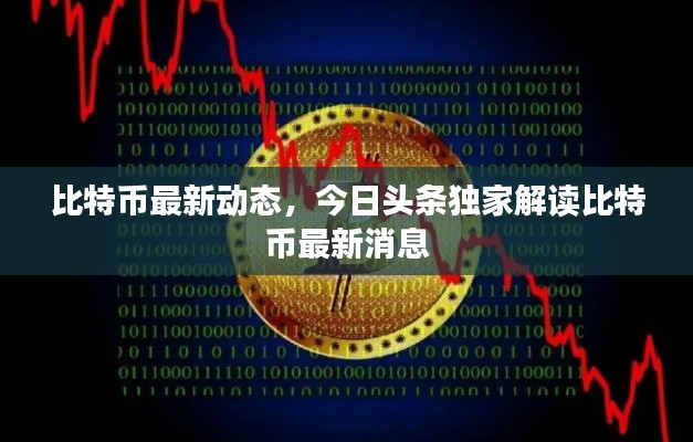 比特币最新动态,今日头条独家解读比特币最新消息