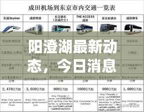 阳澄湖最新动态,今日消息一网打尽!