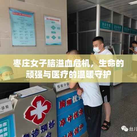枣庄女子脑溢血危机,生命的顽强与医疗的温暖守护