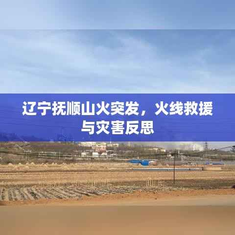 辽宁抚顺山火突发，火线救援与灾害反思