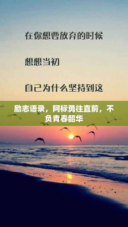 励志语录,阿标勇往直前,不负青春韶华