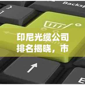 印尼光缆公司排名揭晓,市场影响力与市场份额一览