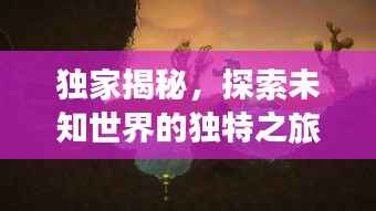 独家揭秘,探索未知世界的独特之旅