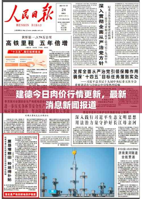 建德今日肉价行情更新,最新消息新闻报道