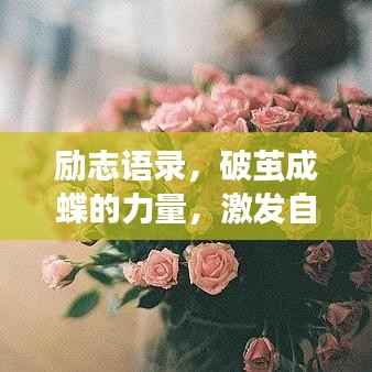 励志语录,破茧成蝶的力量,激发自我改变的无限潜能