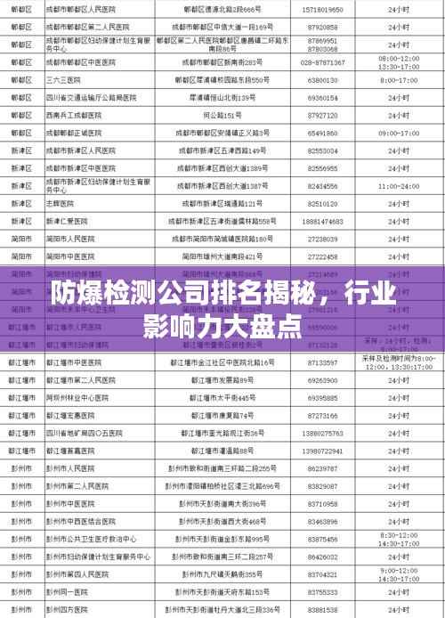 防爆检测公司排名揭秘,行业影响力大盘点