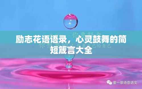 励志花语语录,心灵鼓舞的简短箴言大全