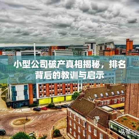 小型公司破产真相揭秘，排名背后的教训与启示