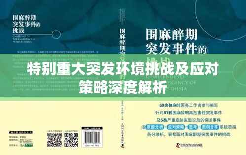 特别重大突发环境挑战及应对策略深度解析