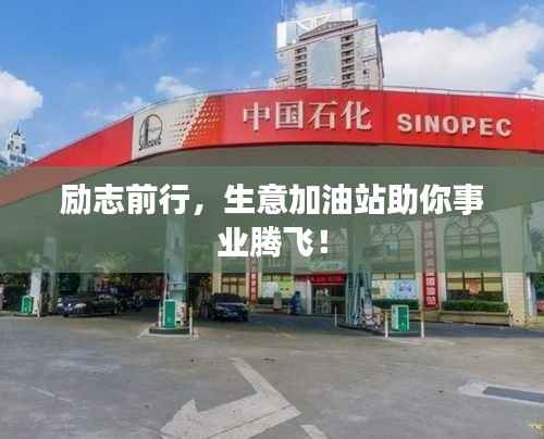 观往知来 第3页