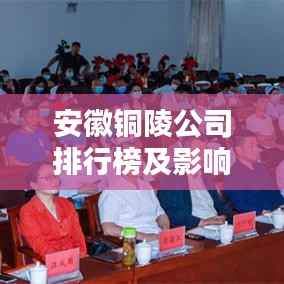 安徽铜陵公司排行榜及影响力深度解析