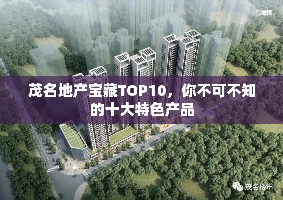 茂名地产宝藏TOP10,你不可不知的十大特色产品