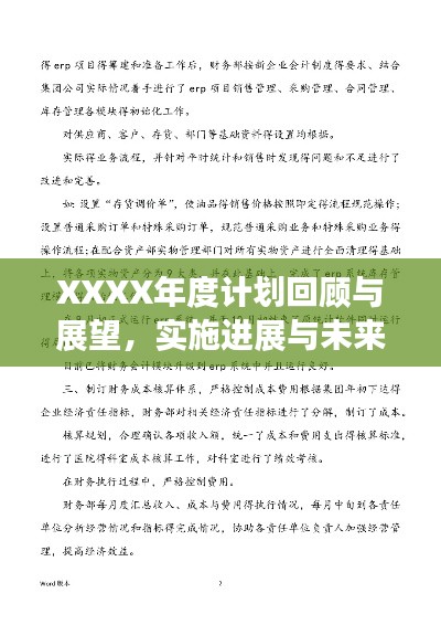 XXXX年度计划回顾与展望，实施进展与未来展望