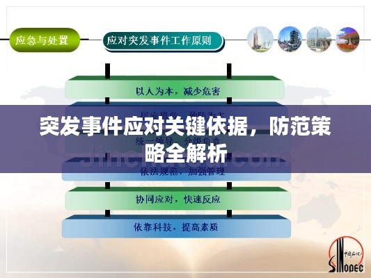 突发事件应对关键依据,防范策略全解析