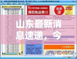 山东最新消息速递,今日动态一网打尽