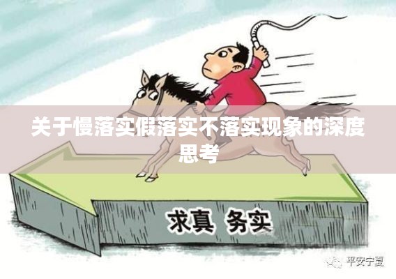 关于慢落实假落实不落实现象的深度思考