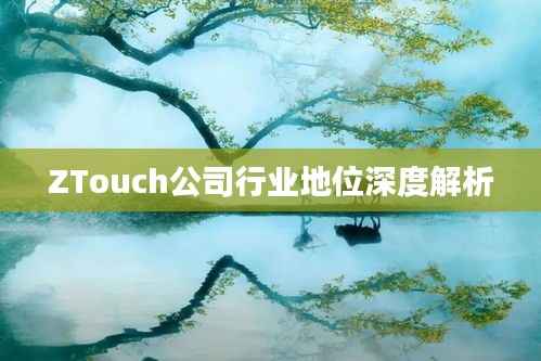 ZTouch公司行业地位深度解析