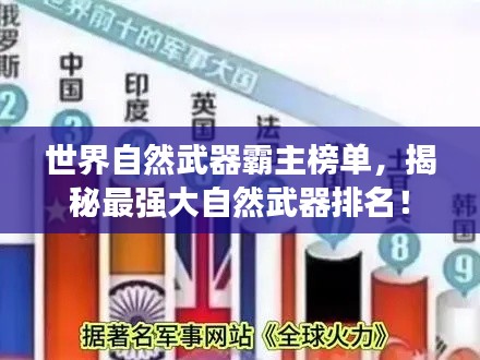 世界自然武器霸主榜单,揭秘最强大自然武器排名!