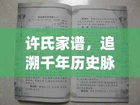 许氏家谱,追溯千年历史脉络,传承家族文化瑰宝
