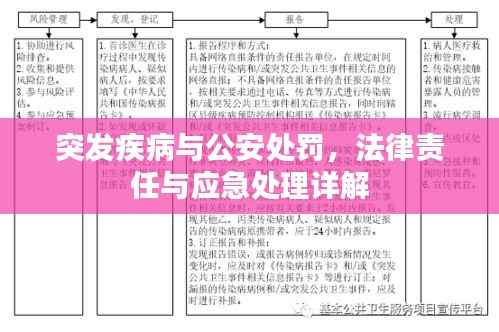 突发疾病与公安处罚,法律责任与应急处理详解