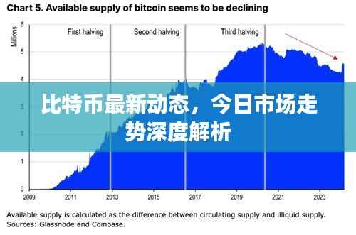 比特币最新动态,今日市场走势深度解析