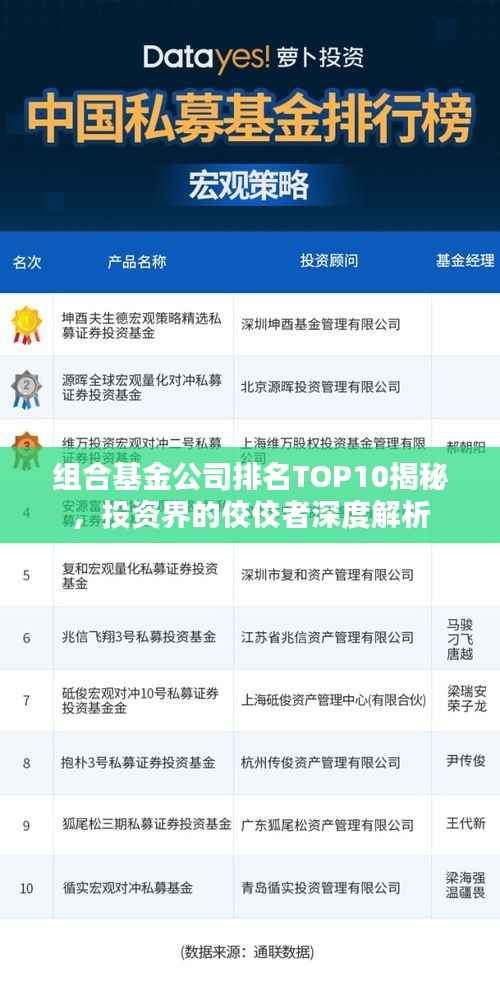 组合基金公司排名TOP10揭秘,投资界的佼佼者深度解析