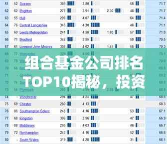 组合基金公司排名TOP10揭秘,投资界的佼佼者深度解析