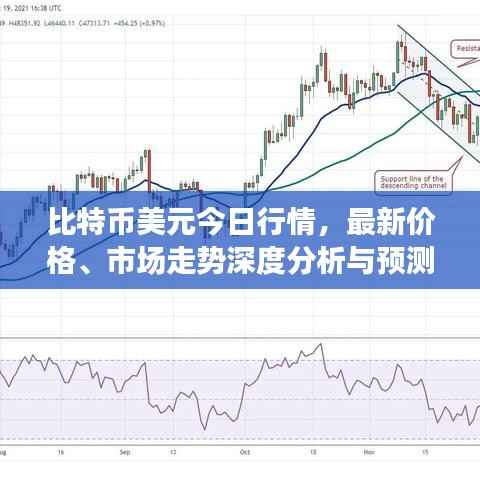 比特币美元今日行情,最新价格、市场走势深度分析与预测