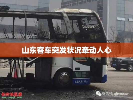 山东客车突发状况牵动人心