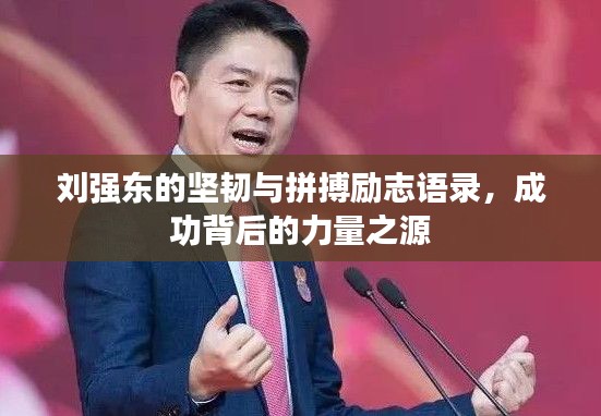 刘强东的坚韧与拼搏励志语录,成功背后的力量之源