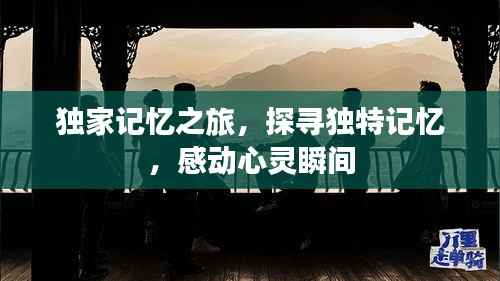 独家记忆之旅,探寻独特记忆,感动心灵瞬间