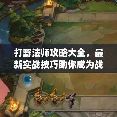 打野法师攻略大全,最新实战技巧助你成为战场主宰!