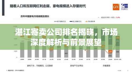 湛江寄卖公司排名揭晓,市场深度解析与前景展望