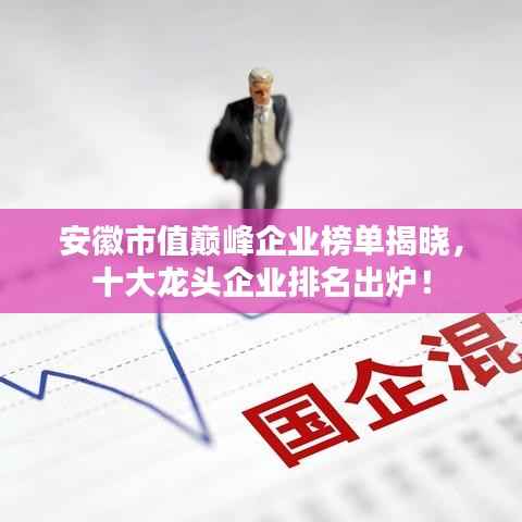 安徽市值巅峰企业榜单揭晓，十大龙头企业排名出炉！