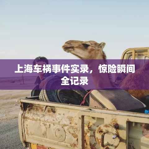 上海车祸事件实录,惊险瞬间全记录