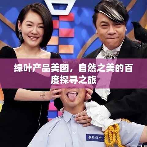 绿叶产品美图,自然之美的百度探寻之旅