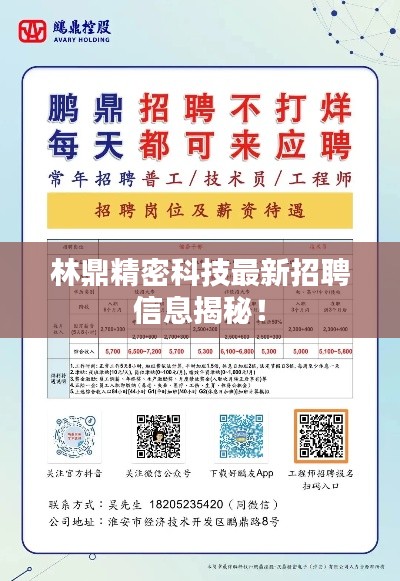 林鼎精密科技最新招聘信息揭秘！