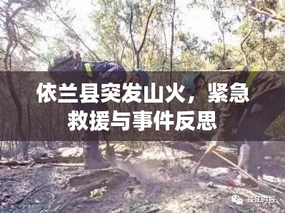 依兰县突发山火，紧急救援与事件反思