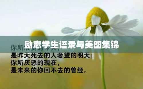 励志学生语录与美图集锦