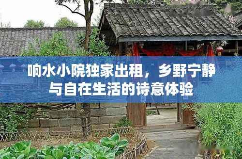 响水小院独家出租,乡野宁静与自在生活的诗意体验