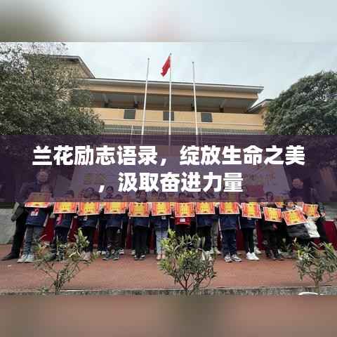 兰花励志语录,绽放生命之美,汲取奋进力量