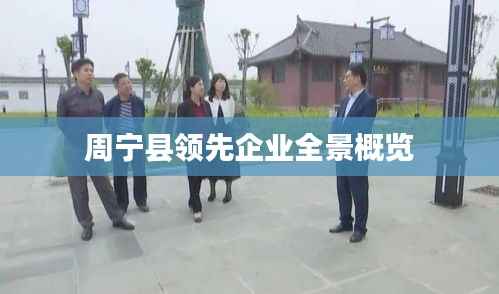 周宁县领先企业全景概览