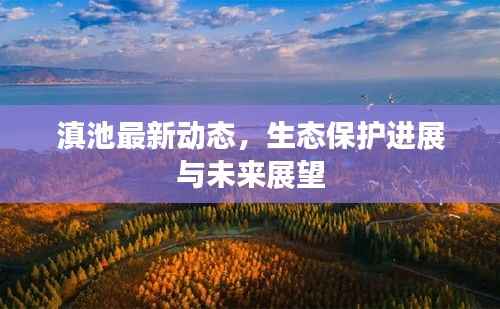 滇池最新动态,生态保护进展与未来展望